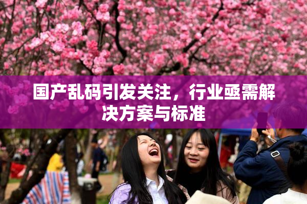 国产乱码引发关注，行业亟需解决方案与标准