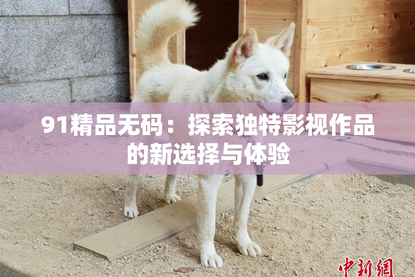 91精品无码：探索独特影视作品的新选择与体验