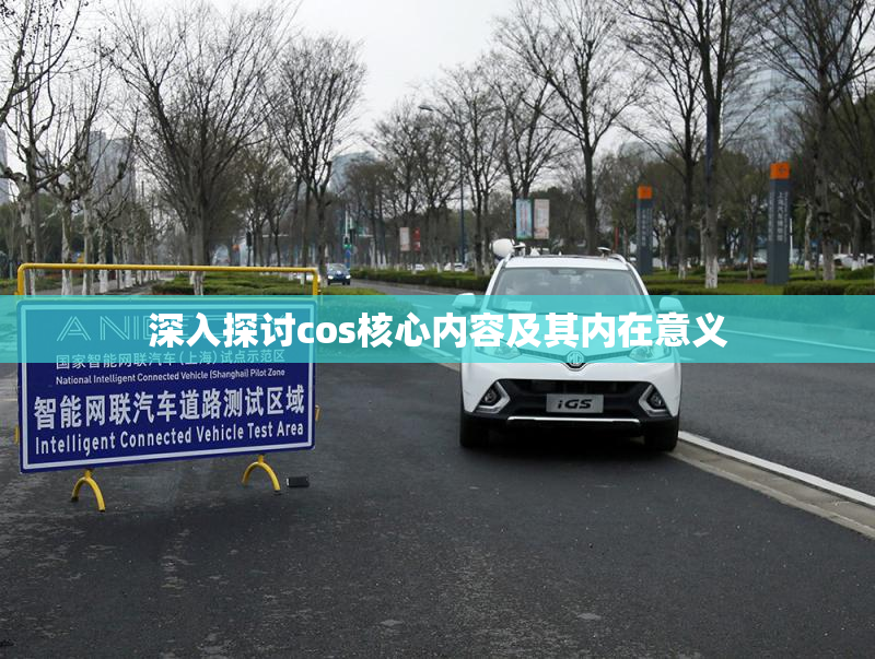 深入探讨cos核心内容及其内在意义