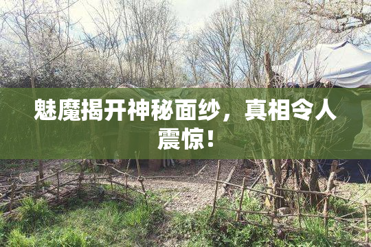 魅魔揭开神秘面纱，真相令人震惊！