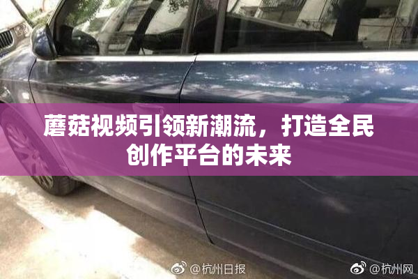 蘑菇视频引领新潮流，打造全民创作平台的未来
