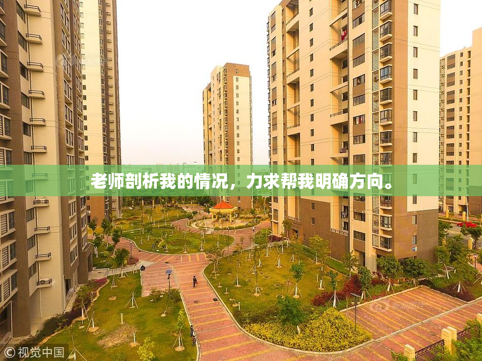 老师剖析我的情况，力求帮我明确方向。