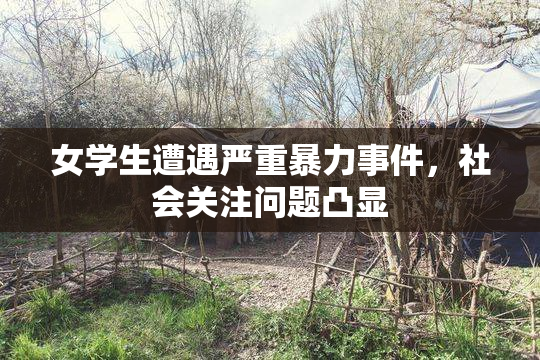 女学生遭遇严重暴力事件，社会关注问题凸显