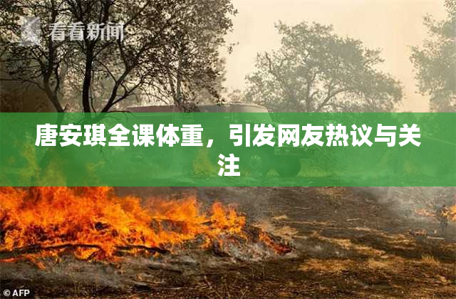 唐安琪全课体重，引发网友热议与关注