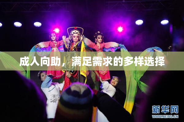 成人向助，满足需求的多样选择