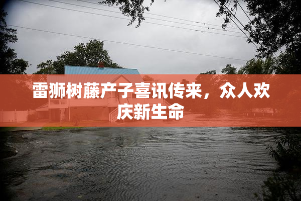 雷狮树藤产子喜讯传来，众人欢庆新生命