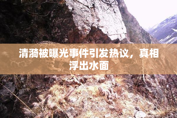 清漪被曝光事件引发热议，真相浮出水面