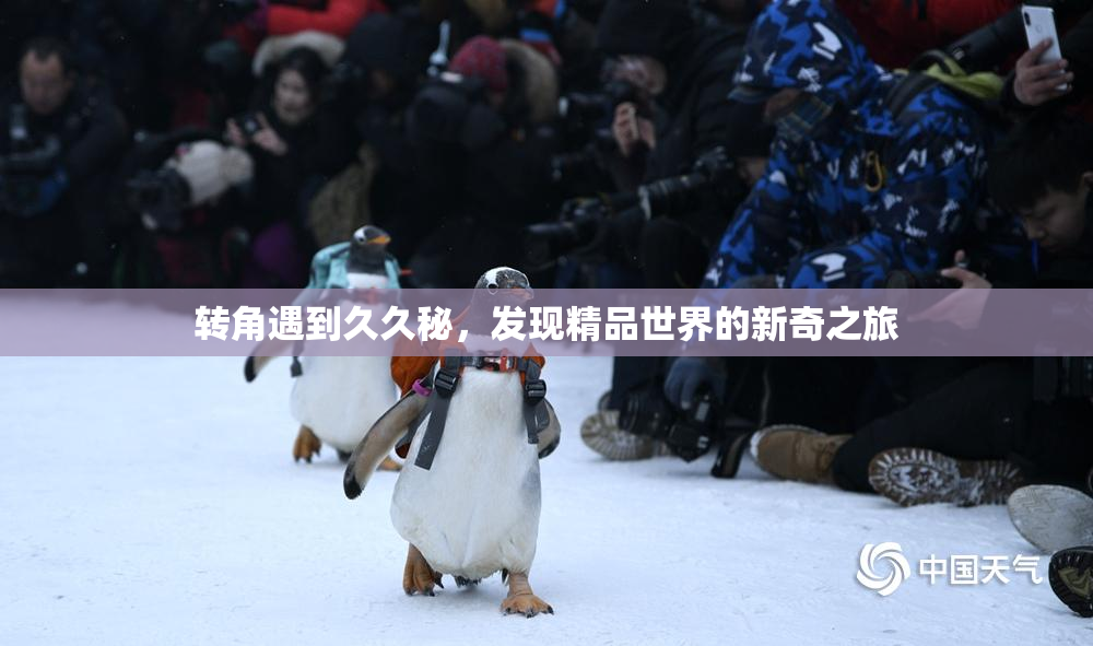 转角遇到久久秘，发现精品世界的新奇之旅
