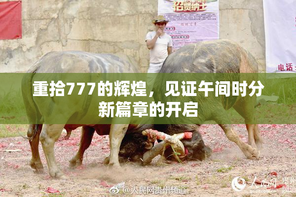 重拾777的辉煌，见证午间时分新篇章的开启