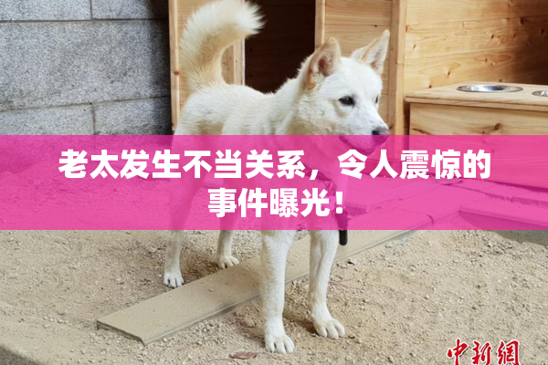 老太发生不当关系，令人震惊的事件曝光！