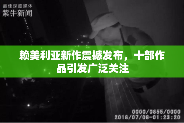 赖美利亚新作震撼发布，十部作品引发广泛关注