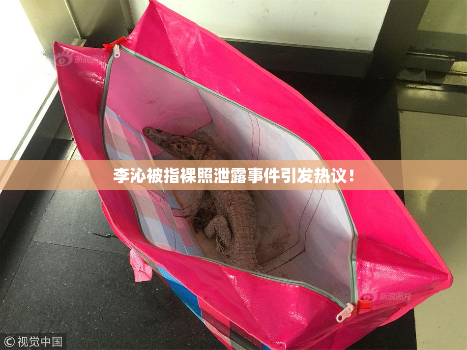 李沁被指裸照泄露事件引发热议！