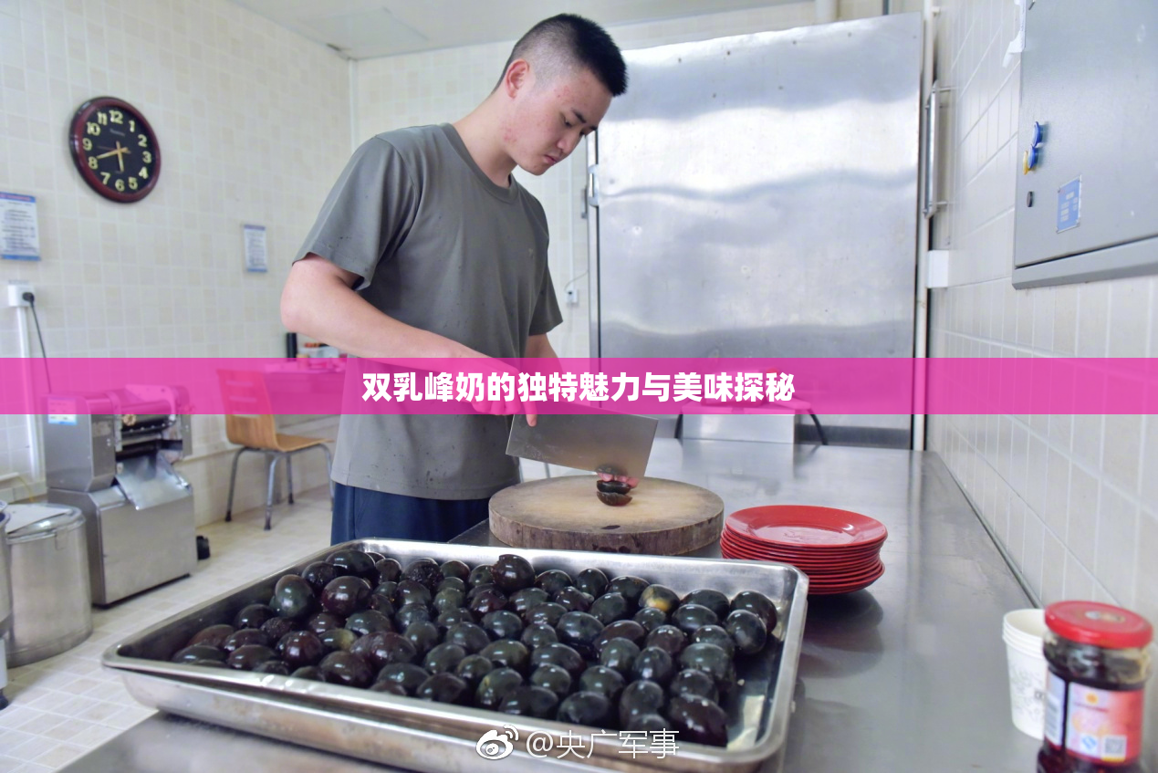 双乳峰奶的独特魅力与美味探秘