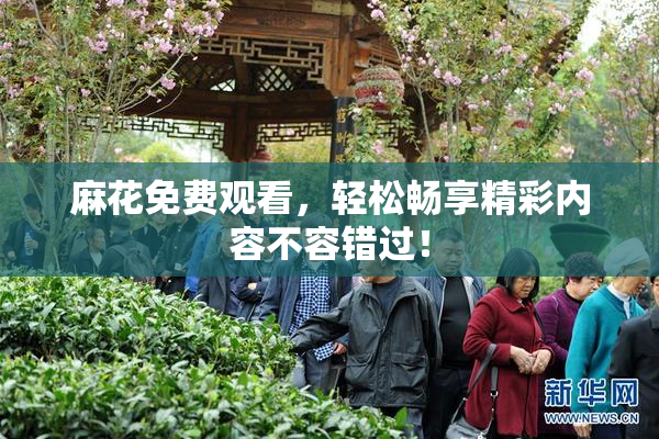 麻花免费观看，轻松畅享精彩内容不容错过！