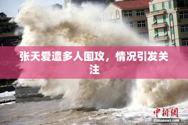 张天爱遭多人围攻，情况引发关注