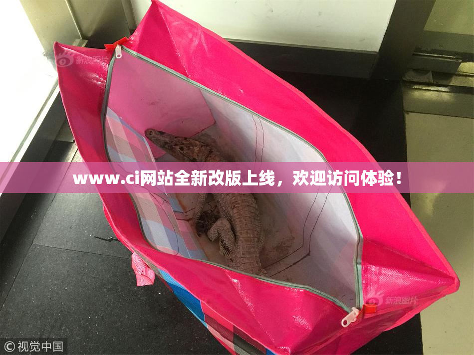 www.ci网站全新改版上线，欢迎访问体验！