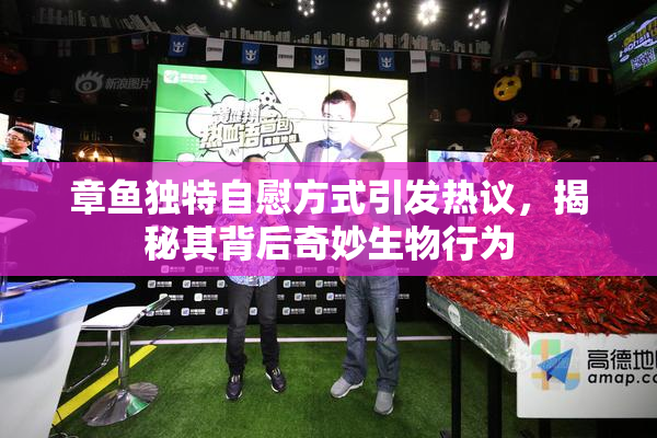 章鱼独特自慰方式引发热议，揭秘其背后奇妙生物行为
