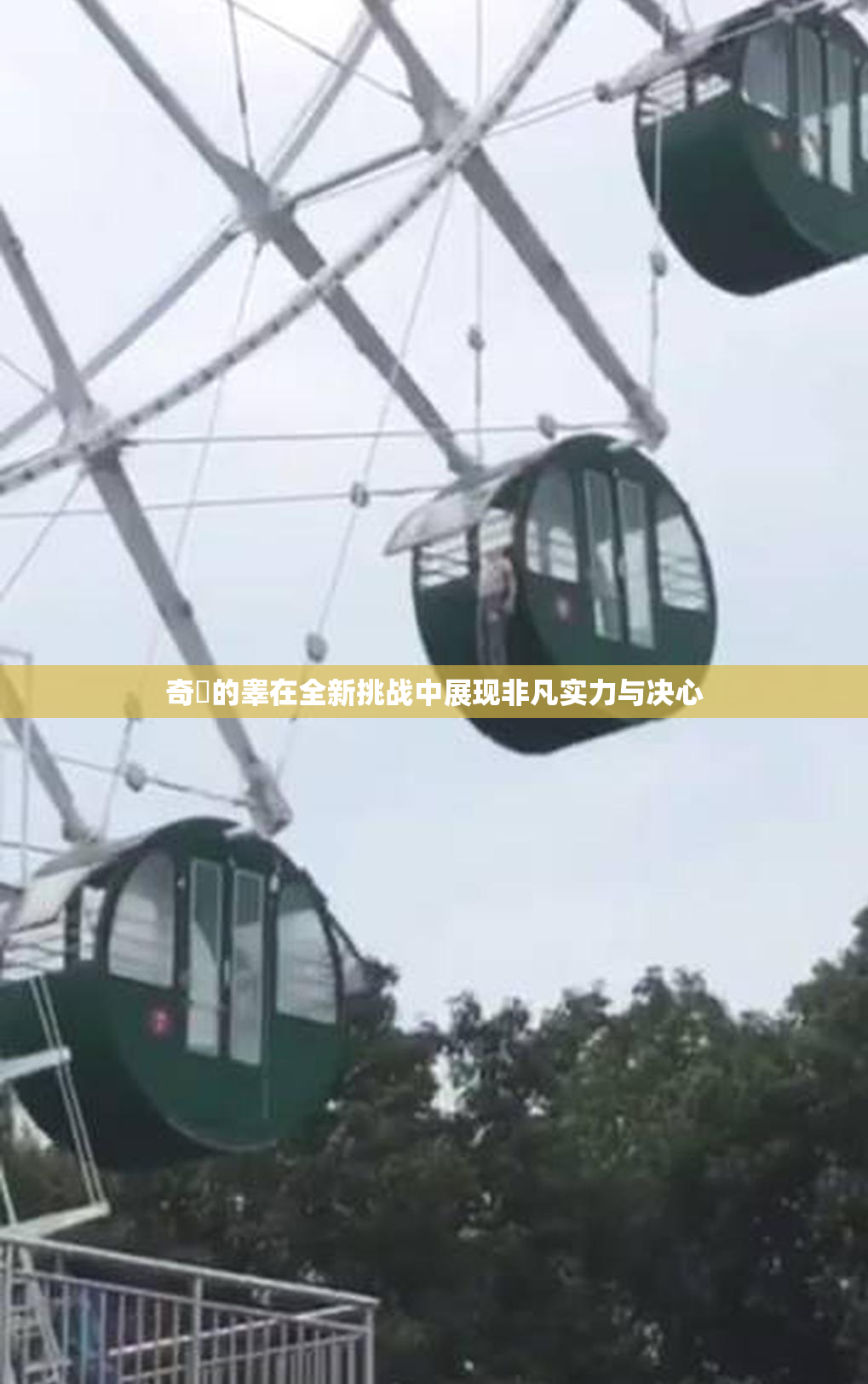奇犽的睾在全新挑战中展现非凡实力与决心