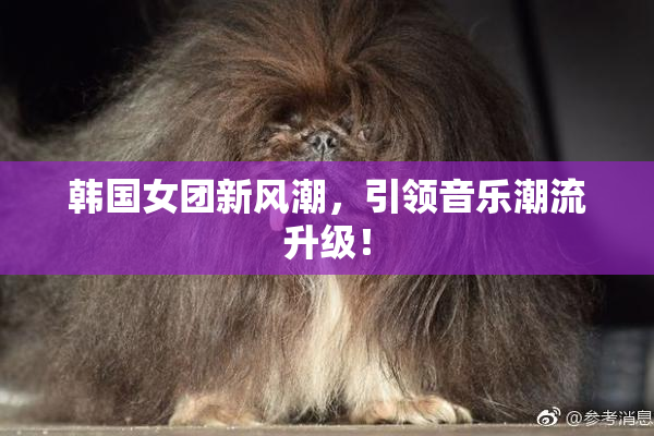 韩国女团新风潮，引领音乐潮流升级！