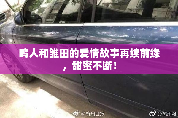 鸣人和雏田的爱情故事再续前缘，甜蜜不断！