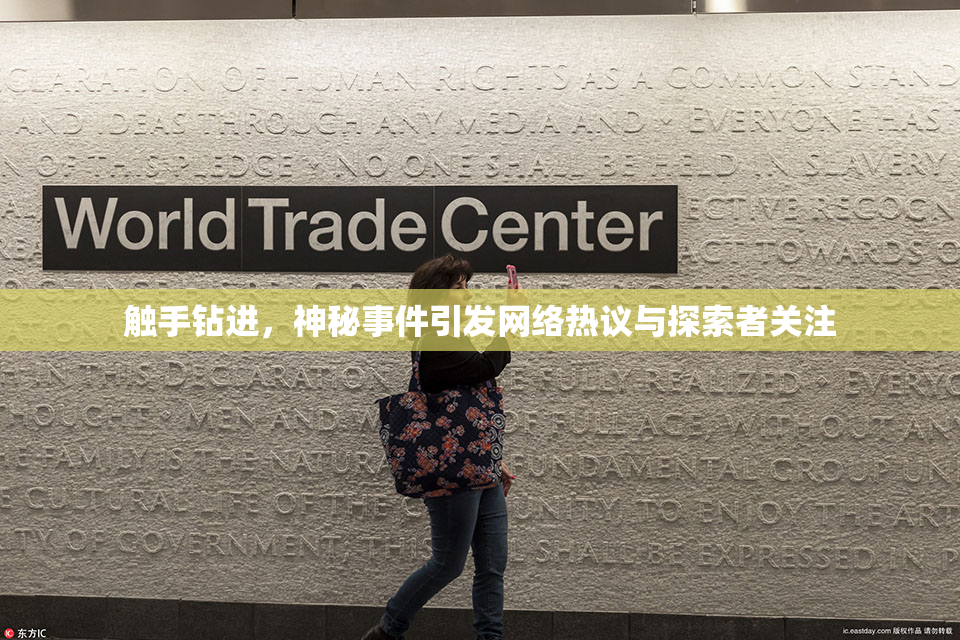 触手钻进，神秘事件引发网络热议与探索者关注