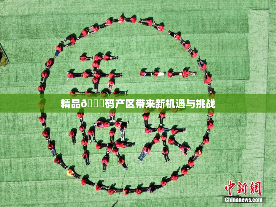 精品🈚码产区带来新机遇与挑战
