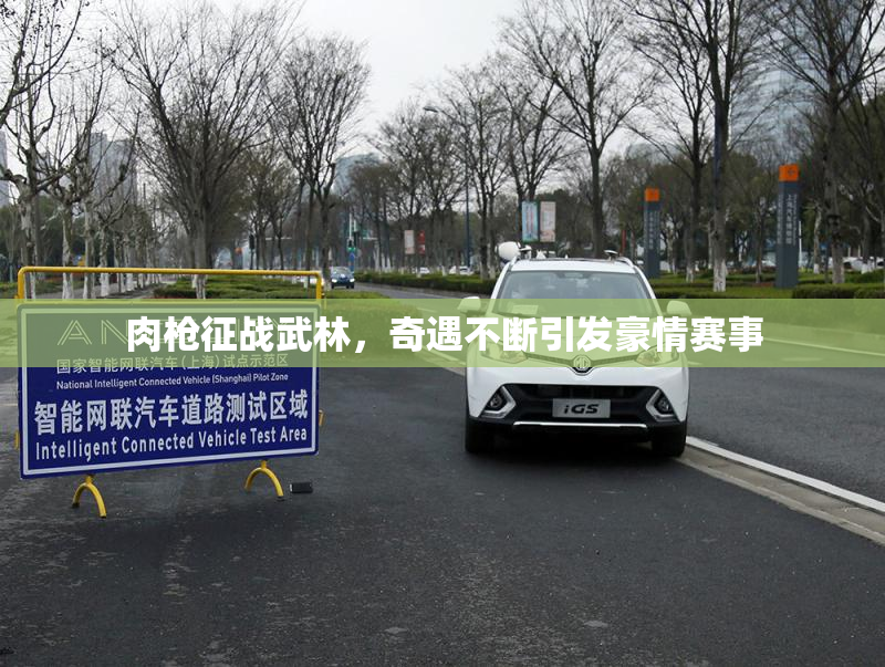 肉枪征战武林，奇遇不断引发豪情赛事