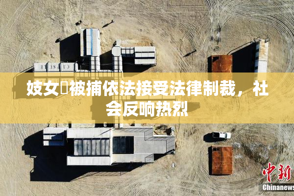 妓女梱被捕依法接受法律制裁，社会反响热烈