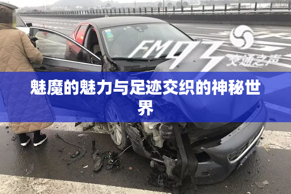 魅魔的魅力与足迹交织的神秘世界