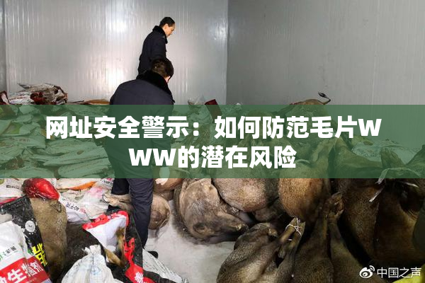 网址安全警示：如何防范毛片WWW的潜在风险