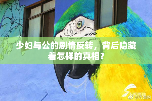 少妇与公的剧情反转，背后隐藏着怎样的真相？