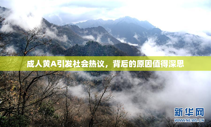 成人黄A引发社会热议，背后的原因值得深思