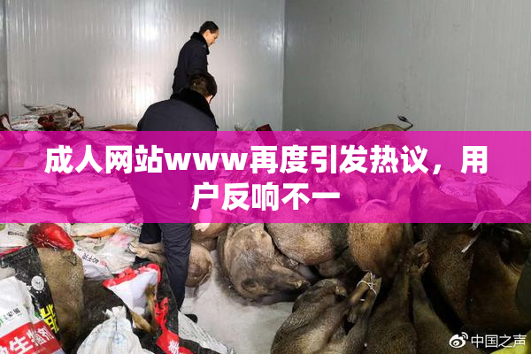 成人网站www再度引发热议，用户反响不一