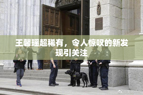 王馨瑶超稀有，令人惊叹的新发现引关注