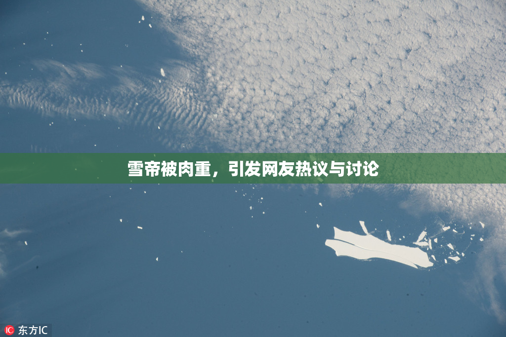 雪帝被肉重，引发网友热议与讨论