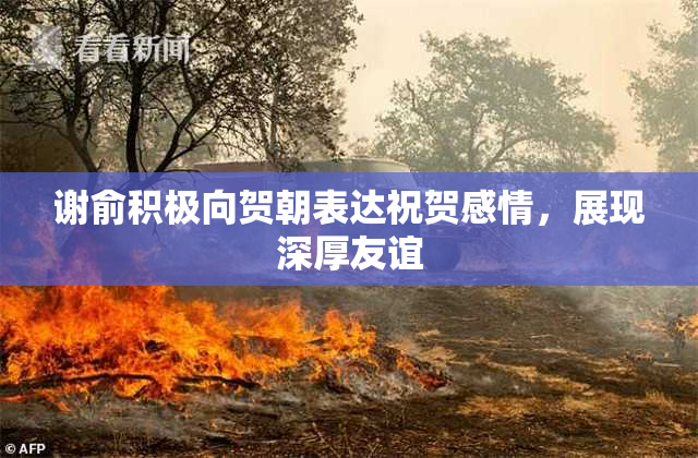 谢俞积极向贺朝表达祝贺感情，展现深厚友谊