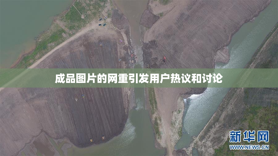 成品图片的网重引发用户热议和讨论