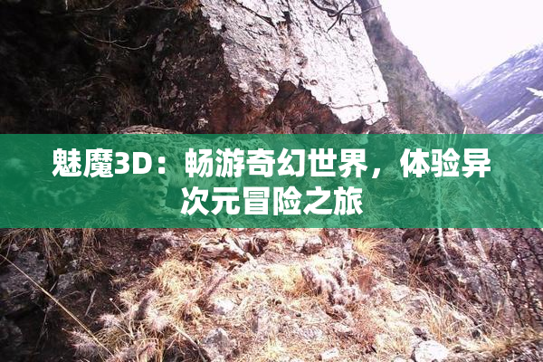 魅魔3D：畅游奇幻世界，体验异次元冒险之旅