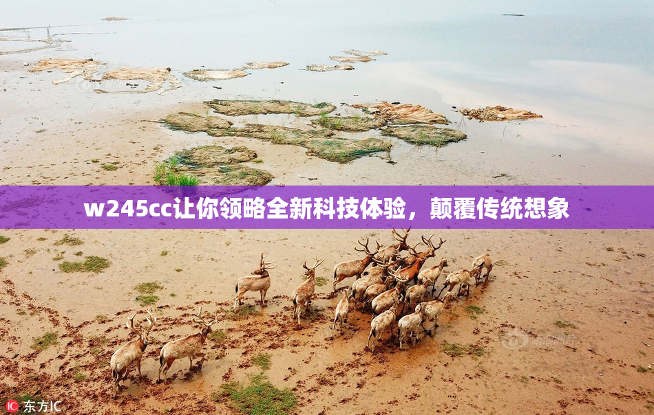 w245cc让你领略全新科技体验，颠覆传统想象