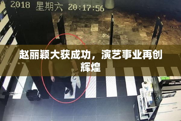 赵丽颖大获成功，演艺事业再创辉煌