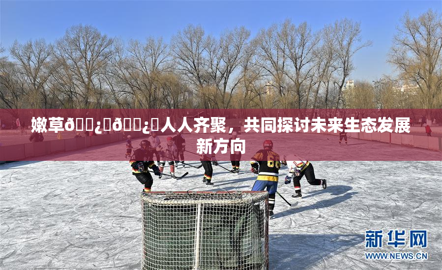 嫩草🌿‌🌿‌人人齐聚，共同探讨未来生态发展新方向