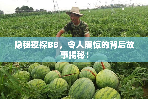 隐秘窥探BB，令人震惊的背后故事揭秘！