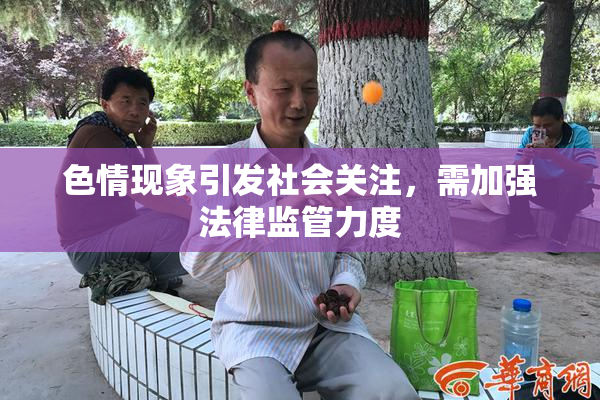 色情现象引发社会关注，需加强法律监管力度