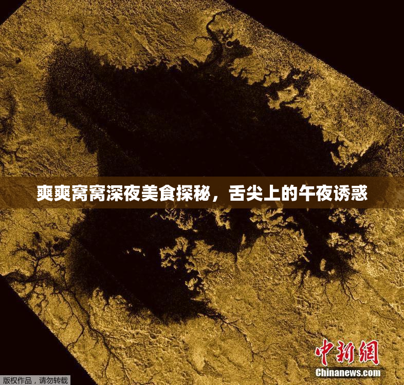 爽爽窝窝深夜美食探秘，舌尖上的午夜诱惑