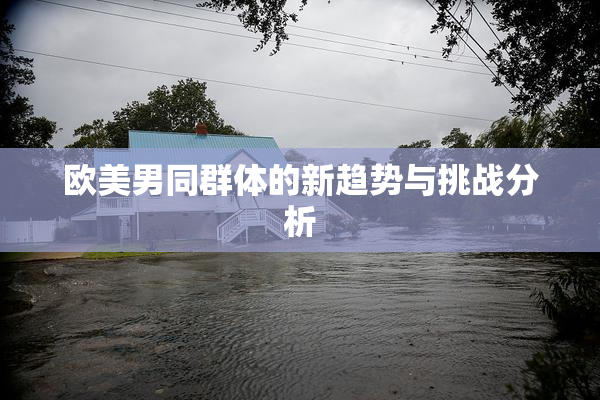 欧美男同群体的新趋势与挑战分析