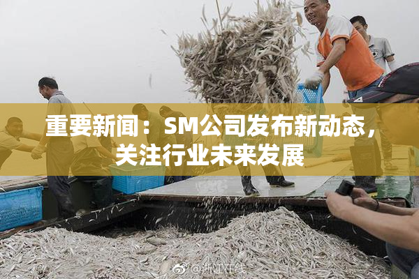 重要新闻：SM公司发布新动态，关注行业未来发展