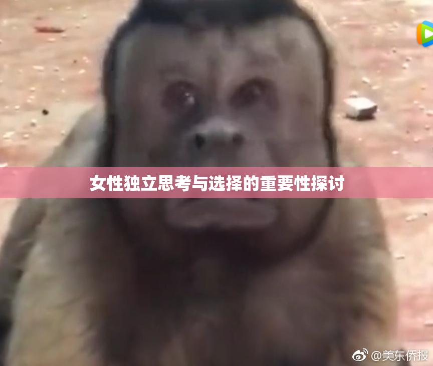女性独立思考与选择的重要性探讨