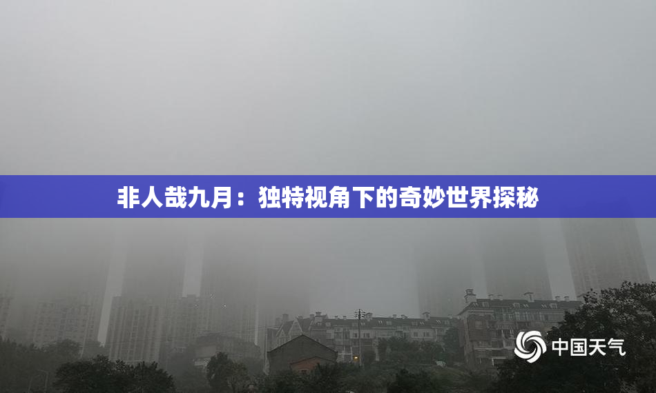 非人哉九月：独特视角下的奇妙世界探秘