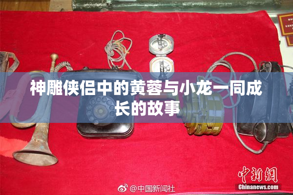 神雕侠侣中的黄蓉与小龙一同成长的故事