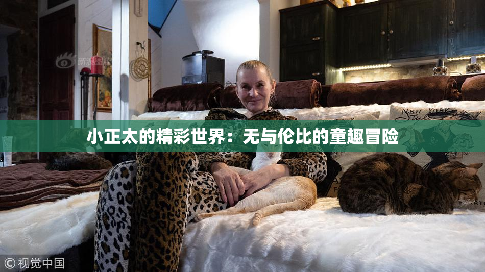 小正太的精彩世界：无与伦比的童趣冒险